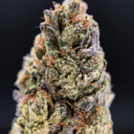 Midnight Runtz strain – potent indica hybrid with blueberry candy aroma and 25–26% THC, available for weed delivery in Washington DC, Arlington, and Northern VA.