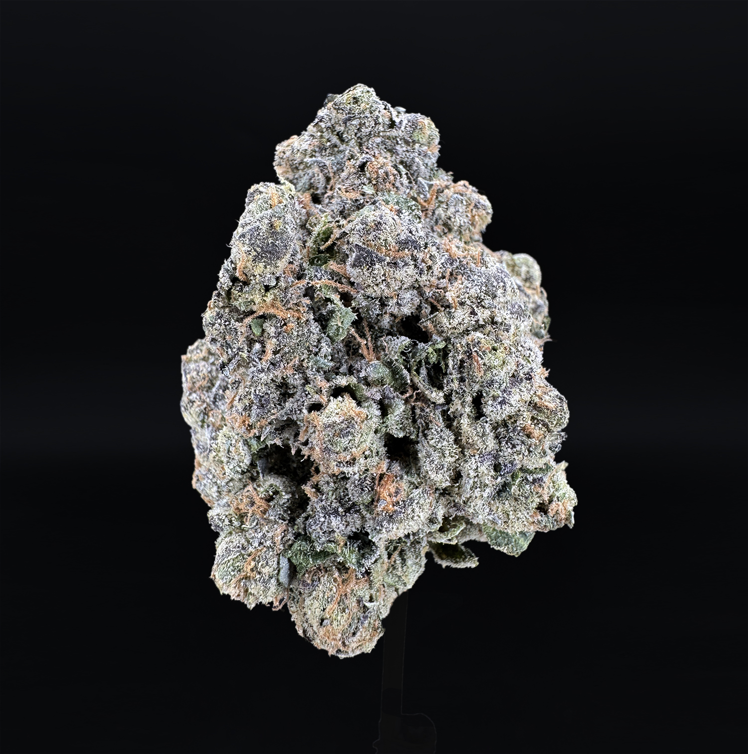 mr-nasty-strain-exotic-blooms-washington-dc-va-md-delivery