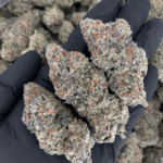 Pink Certz hybrid cannabis strain with 24–27% THC, frosty neon green buds, fruity grape and mint flavors. Available for weed delivery in Washington DC, Northern Virginia, Richmond and Maryland.
