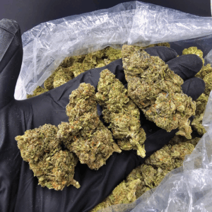 Presidential Kush (indica-dominant hybrid, 24–27 % THC) with citrus pine flavor available for weed delivery in Washington DC and Northern Virginia from Exotic Blooms.