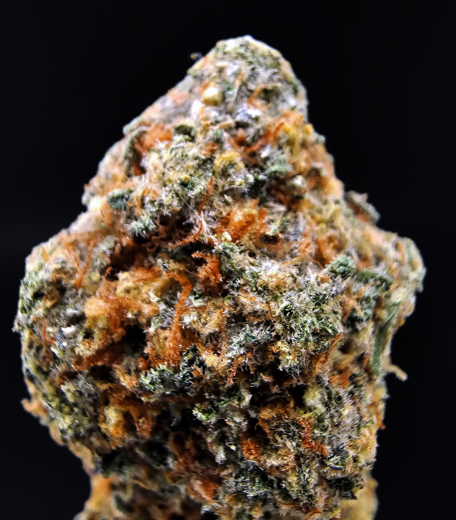 Prietosa Hills Hybrid 28–30% THC Weed Delivery in DC, Virginia, Maryland, Richmond VA