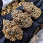 Rainbow Rozay Hybrid 27–29% THC Weed Delivery in DC, Virginia, Maryland, Richmond VA