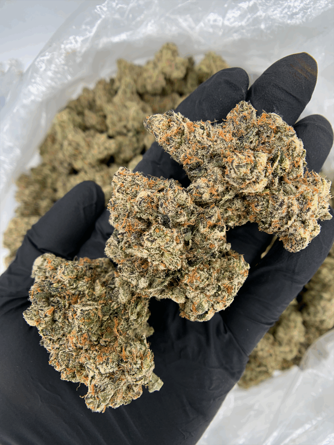 California Breezy (30%+ THC) – Hybrid Weed Delivery DC & VA/MD | Exotic ...