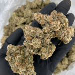 California Breezy sativa-dominant hybrid (30%+ THC) with doughy sweet and cherry citrus aroma, lush green-purple buds, available for weed delivery in Washington DC, Northern Virginia, Richmond and Maryland.