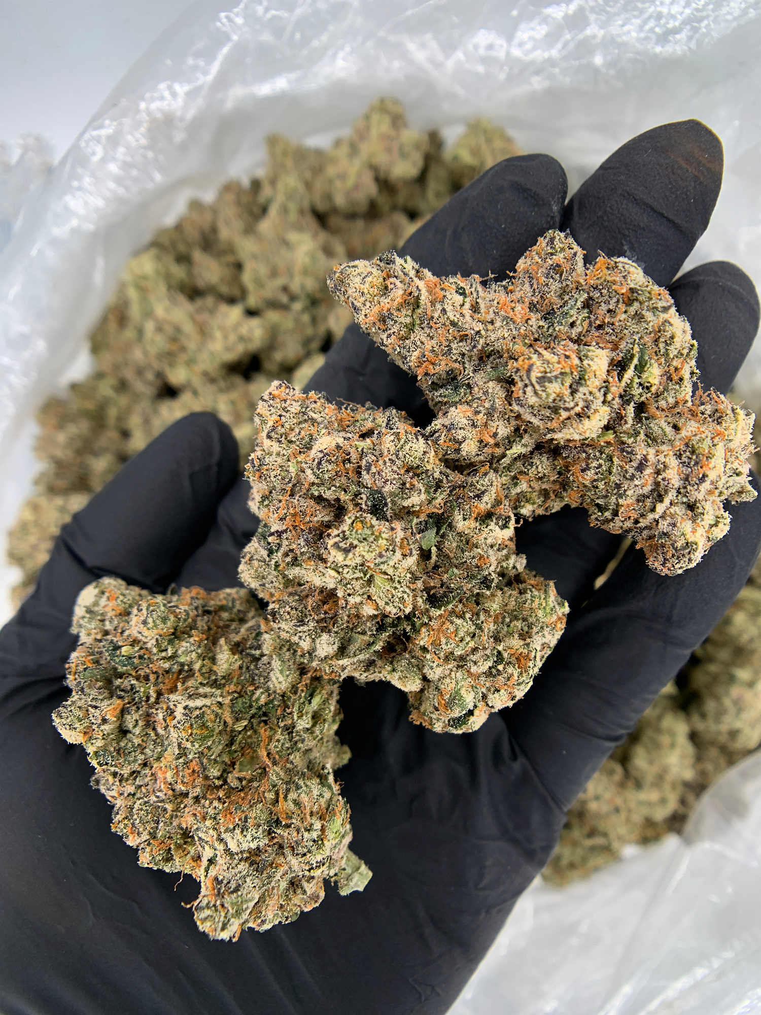 California Breezy sativa-dominant hybrid (30%+ THC) with doughy sweet and cherry citrus aroma, lush green-purple buds, available for weed delivery in Washington DC, Northern Virginia, Richmond and Maryland.