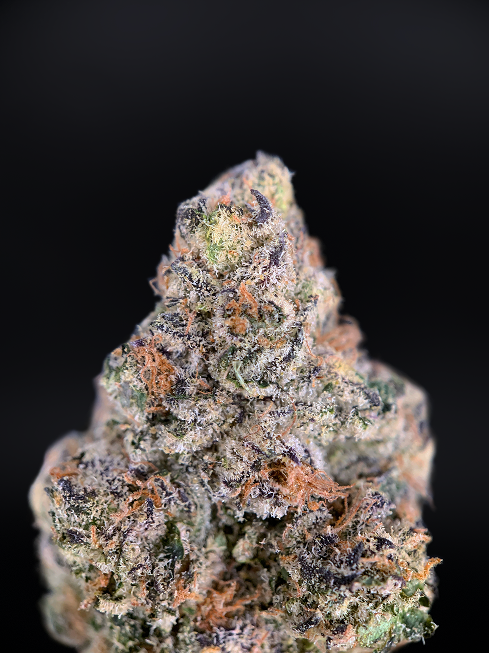 California Breezy sativa-dominant hybrid (30%+ THC) with doughy sweet and cherry citrus aroma, lush green-purple buds, available for weed delivery in Washington DC, Northern Virginia, Richmond and Maryland.