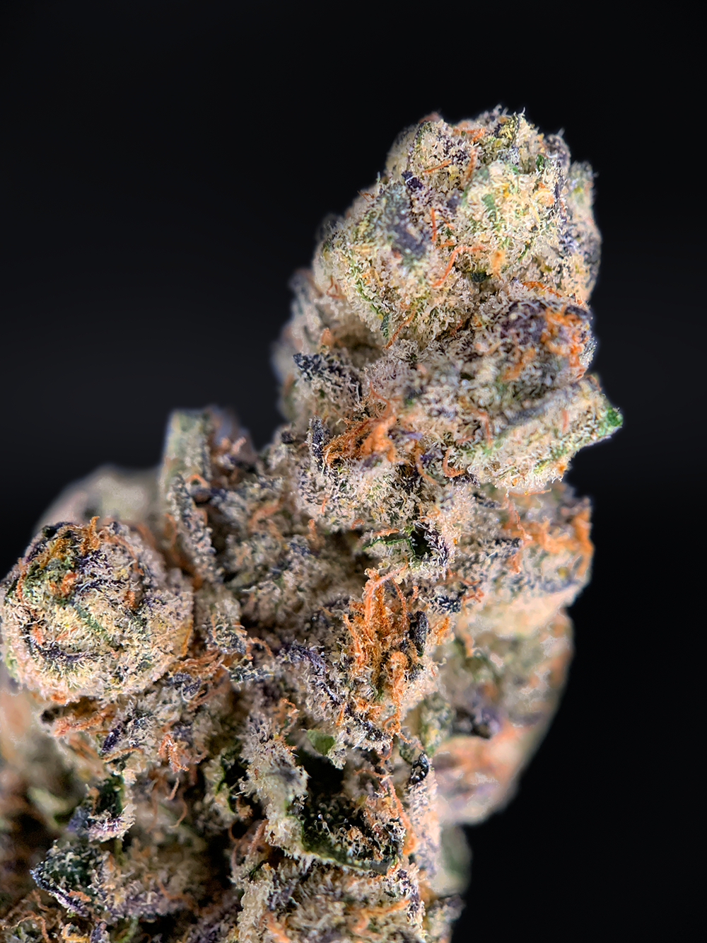 California Breezy sativa-dominant hybrid (30%+ THC) with doughy sweet and cherry citrus aroma, lush green-purple buds, available for weed delivery in Washington DC, Northern Virginia, Richmond and Maryland.