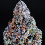 Grand Daddy Purp strain indica 28–32% THC – Exotic Blooms weed delivery in Washington DC, Virginia, Maryland, Richmond VA
