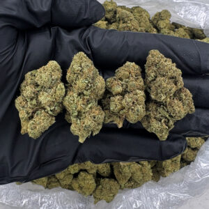 High Society hybrid strain 21–25% THC available for weed delivery in Washington DC, Virginia, Maryland, and Richmond VA from Exotic Blooms