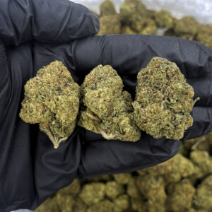 Thin Mint GSC Hybrid cannabis strain hybrid 40–29% THC weed delivery Washington DC Virginia Maryland Richmond VA