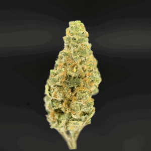 Maui Mango Diesel small buds – tropical mango aroma with diesel finish, 22–25% THC, Washington DC and Northern Virginia cannabis delivery by Exotic Blooms