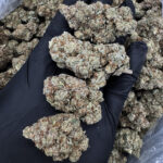 Original Glue strain, indica-dominant hybrid, 28–30% THC available for weed delivery in Washington DC, Virginia, Maryland, and Richmond VA