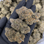 Pink Monet hybrid cannabis strain with 26–30% THC, sweet cherry aroma, purple-green buds, and uplifting yet relaxing effects, available for weed delivery in Washington DC, Northern Virginia, Richmond, and Maryland via Exotic Blooms.
