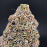 Pink Monet hybrid cannabis strain with 26–30% THC, sweet cherry aroma, purple-green buds, and uplifting yet relaxing effects, available for weed delivery in Washington DC, Northern Virginia, Richmond, and Maryland via Exotic Blooms.