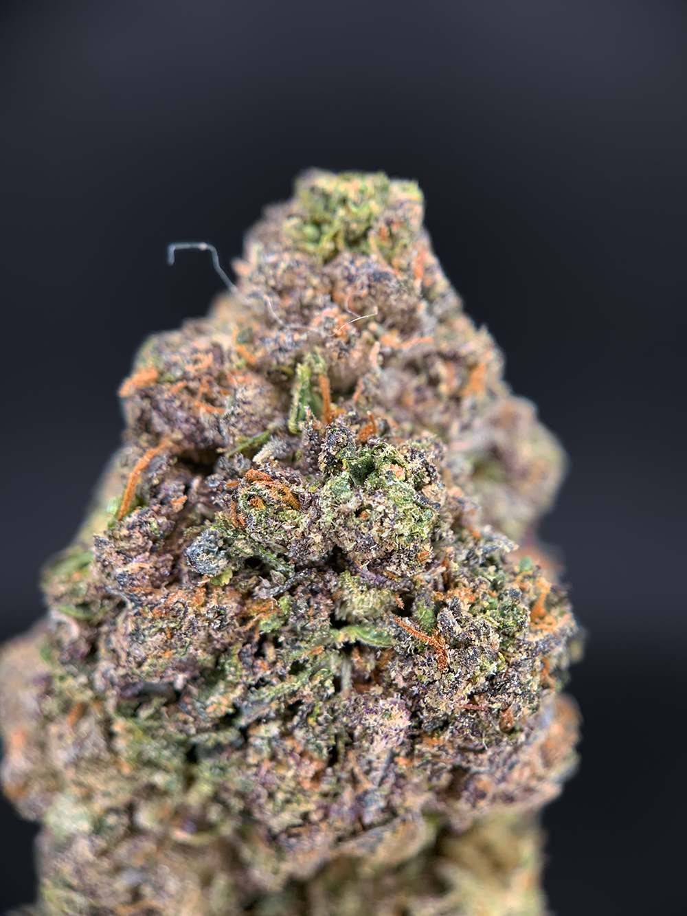 Pink Monet hybrid cannabis strain with 26–30% THC, sweet cherry aroma, purple-green buds, and uplifting yet relaxing effects, available for weed delivery in Washington DC, Northern Virginia, Richmond, and Maryland via Exotic Blooms.