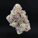 Zoza by Wizard Trees—dense olive-green and deep purple buds sugar-coated in trichomes, 37-38% THC craft flower available for Washington DC, Northern Virginia, Richmond & Maryland delivery.