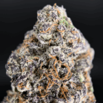 Zoza by Wizard Trees—dense olive-green and deep purple buds sugar-coated in trichomes, 37-38% THC craft flower available for Washington DC, Northern Virginia, Richmond & Maryland delivery.