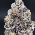 Zoza by Wizard Trees—dense olive-green and deep purple buds sugar-coated in trichomes, 37-38% THC craft flower available for Washington DC, Northern Virginia, Richmond & Maryland delivery.
