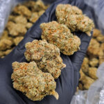 Alien Gorilla strain hybrid 27–30% THC for Washington DC, Virginia, Maryland, and Richmond VA weed delivery.