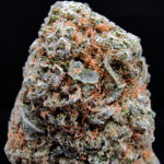 Alien Gorilla strain hybrid 27–30% THC for Washington DC, Virginia, Maryland, and Richmond VA weed delivery.
