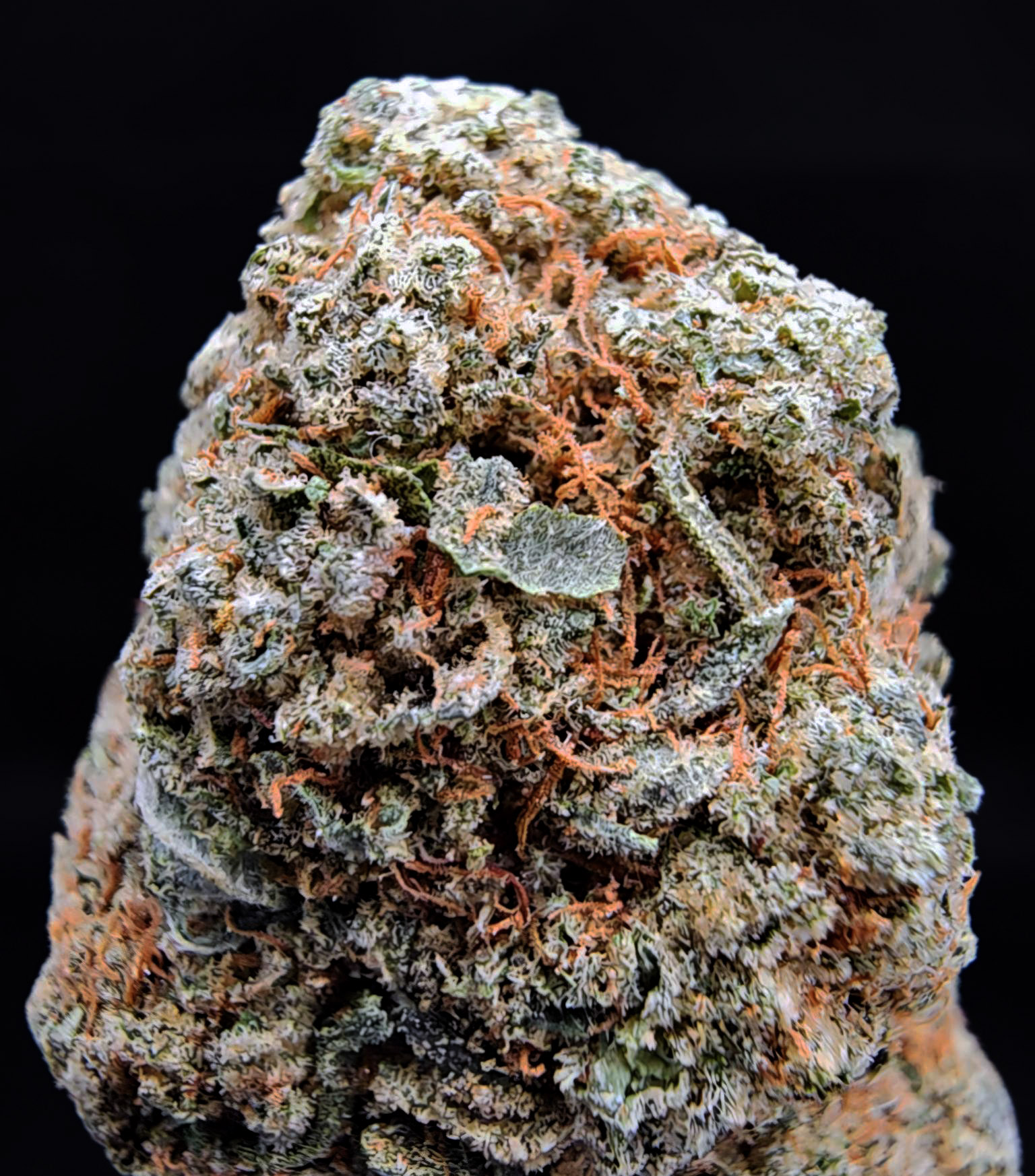 Alien Gorilla strain hybrid 27–30% THC for Washington DC, Virginia, Maryland, and Richmond VA weed delivery.