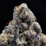 Blue Hawaiian sativa-dominant hybrid strain with 34%+ THC available via Exotic Blooms weed delivery in Washington DC, Virginia, Maryland, and Richmond VA