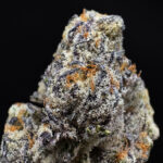 Blue Hawaiian sativa-dominant hybrid strain with 34%+ THC available via Exotic Blooms weed delivery in Washington DC, Virginia, Maryland, and Richmond VA