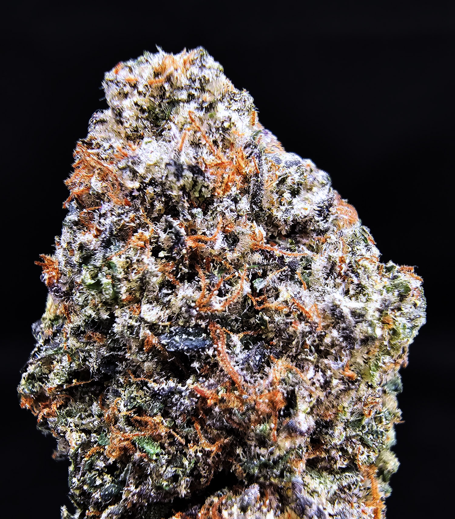 Candy Madness strain hybrid 28–30% THC for Washington DC, Virginia, Maryland, and Richmond VA weed delivery.