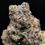 Lemon Cello hybrid strain with 34%+ THC available via Exotic Blooms weed delivery in Washington DC, Virginia, Maryland, and Richmond VA