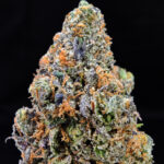 Purple Ghost strain, indica dominant, 31–34% THC, available in Washington DC, Virginia, Maryland, and Richmond VA