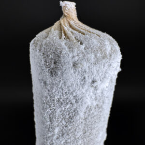 Snow Cone 1.5g Preroll THC available via weed delivery in Washington DC, Virginia, Maryland, and Richmond VA