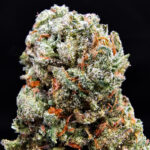 Super Lemon Crush strain sativa hybrid 30–33% THC available for weed delivery in Washington DC, Virginia, Maryland, and Richmond VA