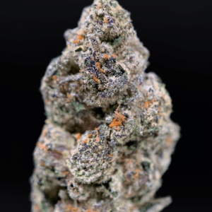 98K West Coast exotic hybrid cannabis flower by Exotic Blooms, rare strain with dense buds and premium resin coverage
