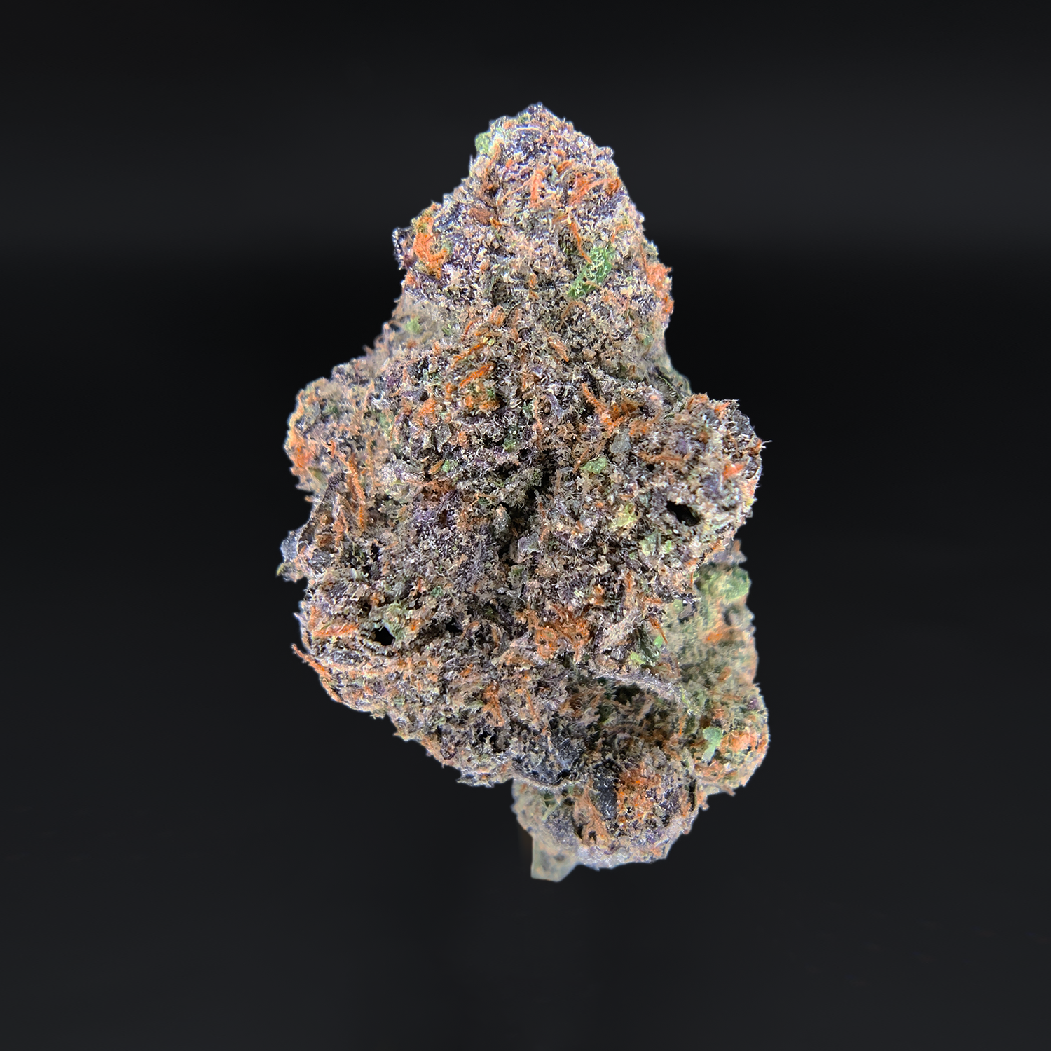 Blueberry Gumbo hybrid cannabis flower with purple trichome-covered buds available from Exotic Blooms in Washington DC and Northern Virginia