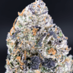 Blueberry Gumbo hybrid cannabis flower with purple trichome-covered buds available from Exotic Blooms in Washington DC and Northern Virginia