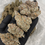 Close-up of Donny Burger buds with heavy trichomes, top-shelf indica-dominant hybrid flower for Washington DC, Northern Virginia, Maryland, and Richmond delivery