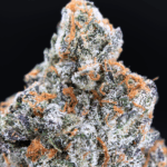 Close-up of Donny Burger buds with heavy trichomes, top-shelf indica-dominant hybrid flower for Washington DC, Northern Virginia, Maryland, and Richmond delivery