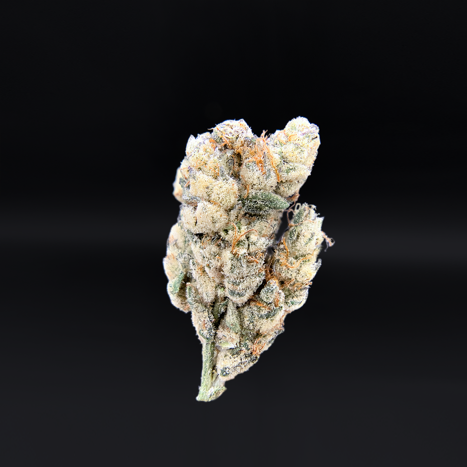 FKAL (FKAFL) by Maven Genetics hybrid flower — frosty trichome-rich buds with violet tones, available from Exotic Blooms in Washington DC and Northern Virginia.