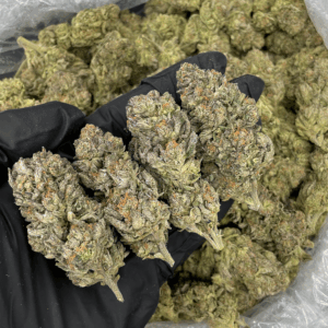 Galactic Warhead hybrid strain flower (20–30% THC) with tropical candy citrus flavor available from Exotic Blooms with Washington DC weed delivery and Northern Virginia cannabis delivery