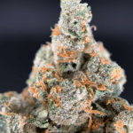 Jack One sativa-dominant flower (24–28% THC) with bright, trichome-rich buds available for Virginia weed delivery in Northern VA from Exotic Blooms.