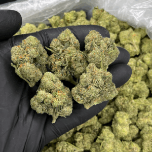 Jokerz Candy indica-dominant hybrid cannabis flower with dense green buds and white trichomes, available for Washington DC weed delivery