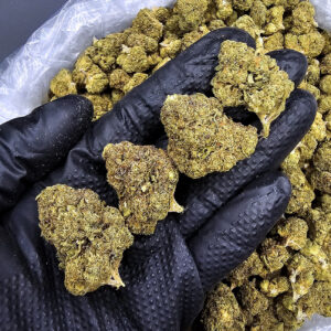 Lemon Cherry Gelato hybrid cannabis flower 24-28% THC available in Washington DC Virginia Maryland and Richmond VA