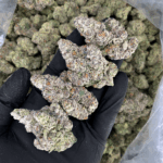 Old Money strain by Compound Genetics, high-THC hybrid flower available for delivery in Washington DC, Northern Virginia, Maryland, and Richmond