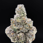 Old Money strain by Compound Genetics, high-THC hybrid flower available for delivery in Washington DC, Northern Virginia, Maryland, and Richmond