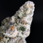 Old Money strain by Compound Genetics, high-THC hybrid flower available for delivery in Washington DC, Northern Virginia, Maryland, and Richmond