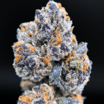 Purple Cherry Popper balanced hybrid strain with purple hues and frosty trichomes available from Exotic Blooms for cannabis delivery in Washington DC, Virginia, and Maryland