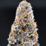 Purple Thai sativa dominant cannabis flower with purple hues and frosty trichomes available for Virginia weed delivery from Exotic Blooms