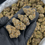 Purple Thai sativa dominant cannabis flower with purple hues and frosty trichomes available for Virginia weed delivery from Exotic Blooms