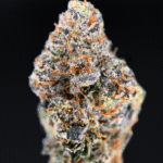 Purple Zlurpee indica-dominant cannabis flower with sweet berry and citrus aroma available for Washington DC, Virginia & Maryland weed delivery