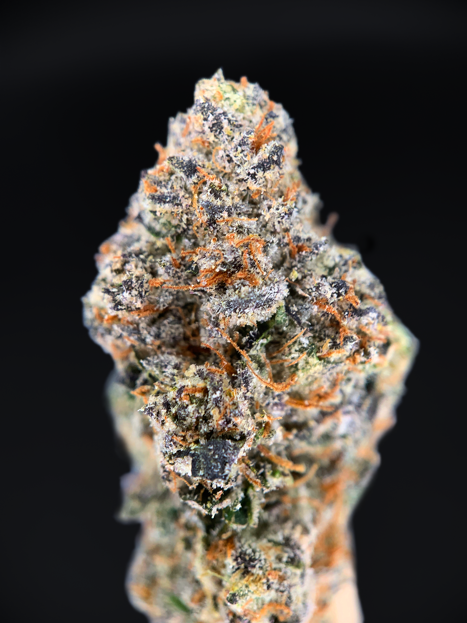 Purple Zlurpee indica-dominant cannabis flower with sweet berry and citrus aroma available for Washington DC, Virginia & Maryland weed delivery
